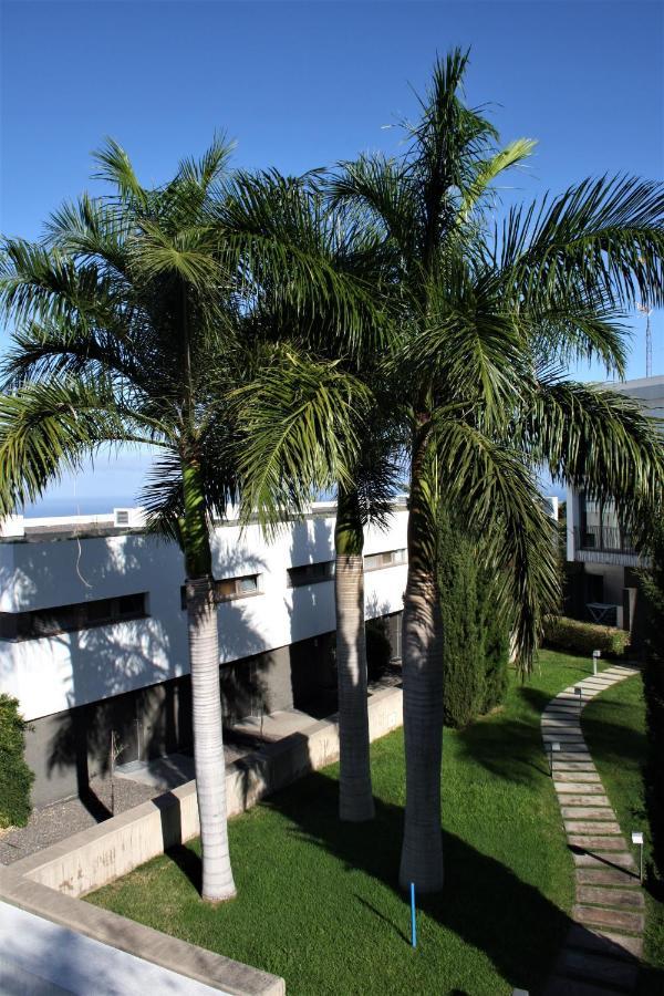 Sissi Boutique - The Terrace Between Ocean And Teide Санта-Урсула Экстерьер фото